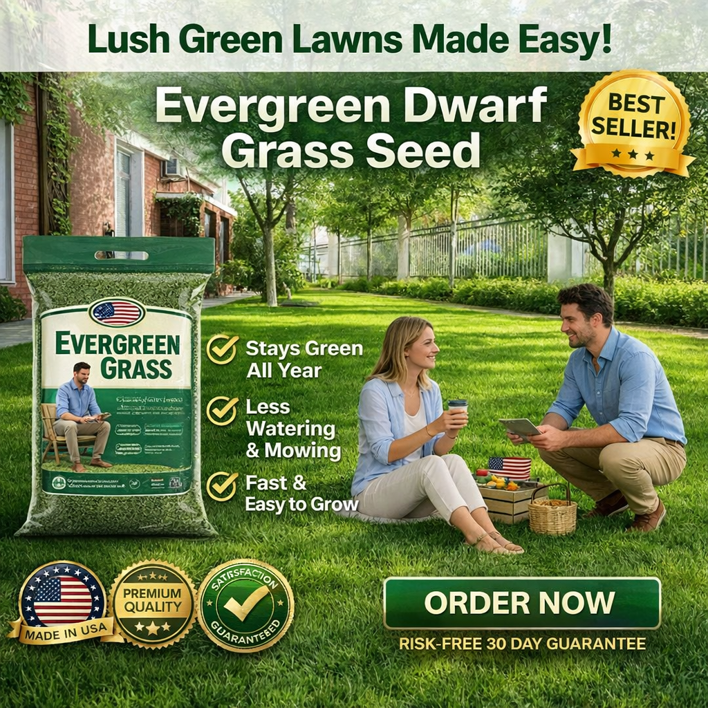 /69f4dfcd5be332000ae49630/2026/05/01/product-img-69f4e3e2f3feac0736a9dc11.png
